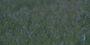 RR My Prayer - Our Pursuits