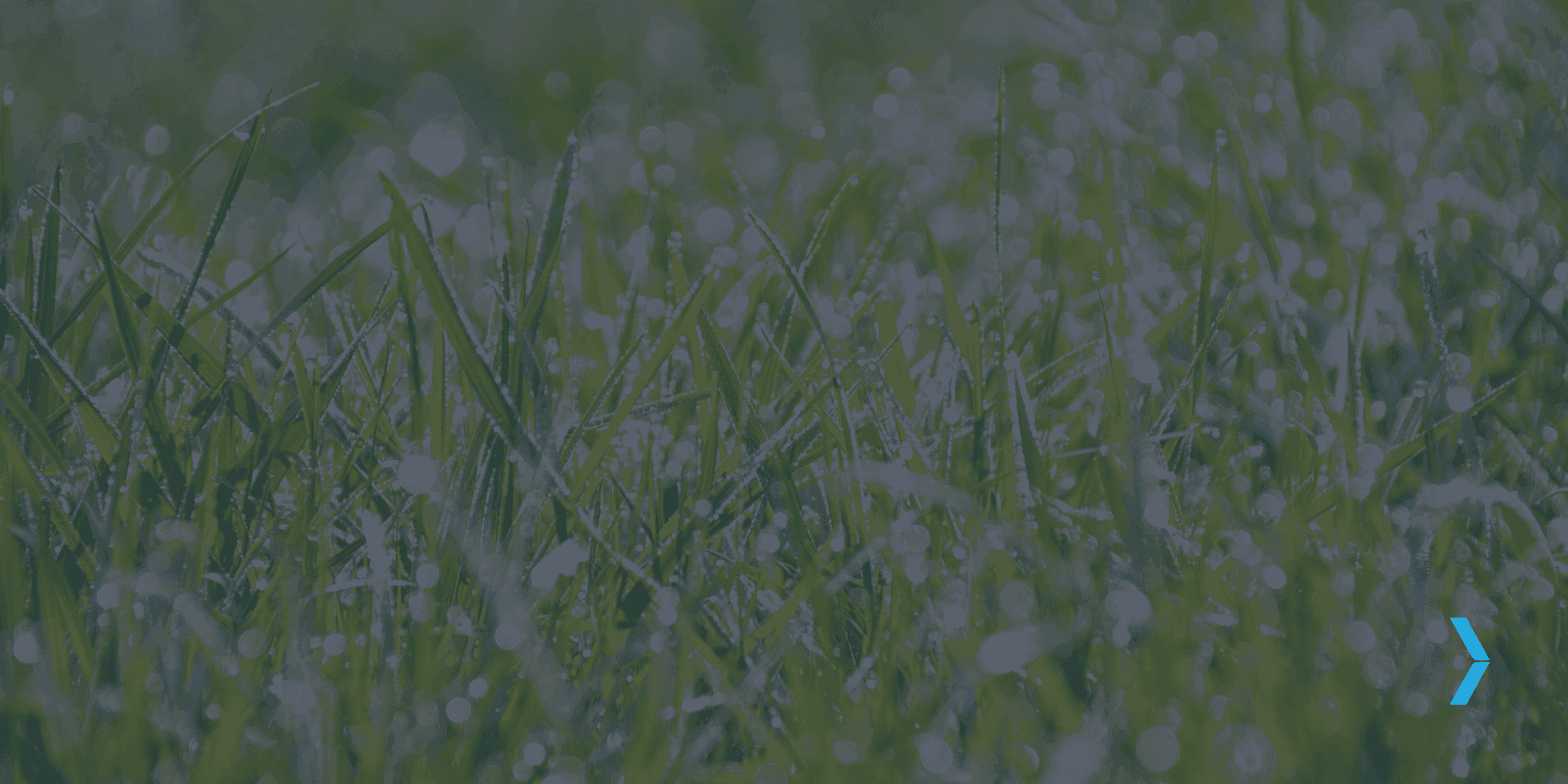 RR My Prayer - Our Pursuits