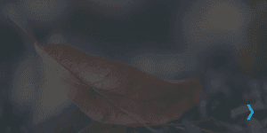 RR My Prayer - The Crucible