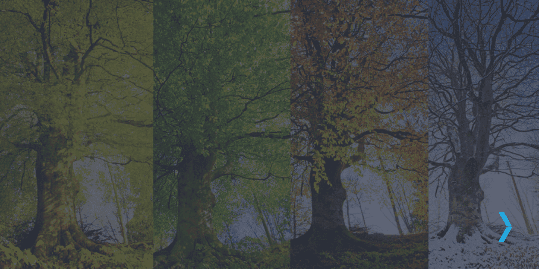 RR My Prayer - The Seasons of Life