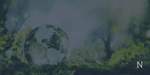 True_North_Is_Going_Green