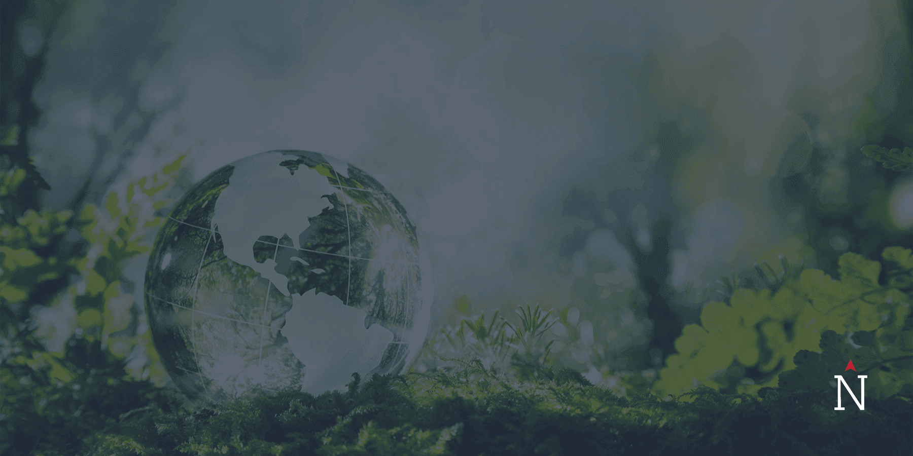 True_North_Is_Going_Green