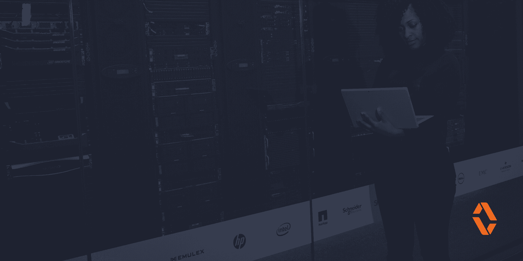 Root Seven Web Launch Header