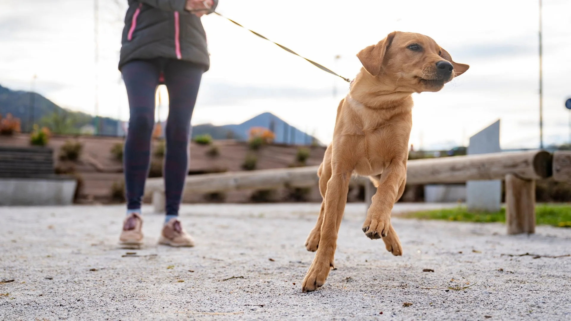 Is Your Hiring Velocity Negatively Impacted by Recruiting Process Constraints?